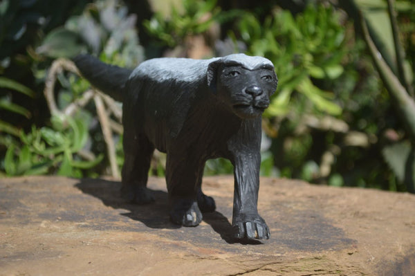 Polished Black & White Soap Stone Honey Badger Carving  x 1 From Zimbabwe - Toprock Gemstones and Minerals 