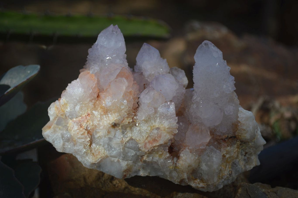 Natural Spirit Amethyst / Ametrine Quartz Clusters  x 6 From Boekenhouthoek, South Africa - Toprock Gemstones and Minerals 