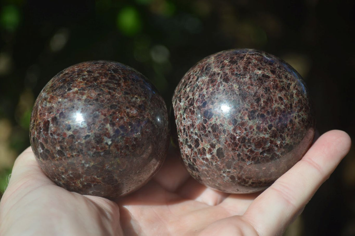 Polished Red Pyrope Garnet Matrix Spheres  x 6 From Madagascar - Toprock Gemstones and Minerals 