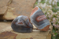 Polished River Agate Nodules  x 6 From Sashe River, Zimbabwe - Toprock Gemstones and Minerals 