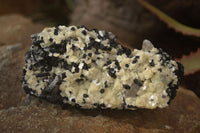 Natural Schorl Black Tourmaline Specimens x 6 From Erongo, Namibia - Toprock Gemstones and Minerals 