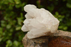 Natural Affordable White Quartz Clusters x 5 From Madagascar - TopRock