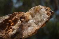 Natural Golden Limonite Quartz Clusters  x 3 From Zambia - TopRock