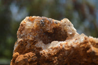 Natural Golden Limonite Quartz Clusters  x 3 From Zambia - TopRock