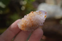 Natural Spirit Ametrine Quartz Crystals x 20 From Boekenhouthoek, South Africa - Toprock Gemstones and Minerals 