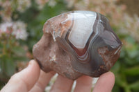 Polished River Agate Nodules  x 6 From Sashe River, Zimbabwe - Toprock Gemstones and Minerals 