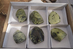Polished Leopard Stone Standing Free Forms x 6 From Zimbabwe - Toprock Gemstones and Minerals 