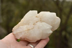 Natural Affordable White Quartz Clusters x 5 From Madagascar - TopRock