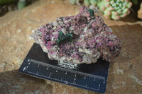 Natural Pink Salrose Cobaltion Dolomite Specimens x 6 From Kakanda, Congo - Toprock Gemstones and Minerals 