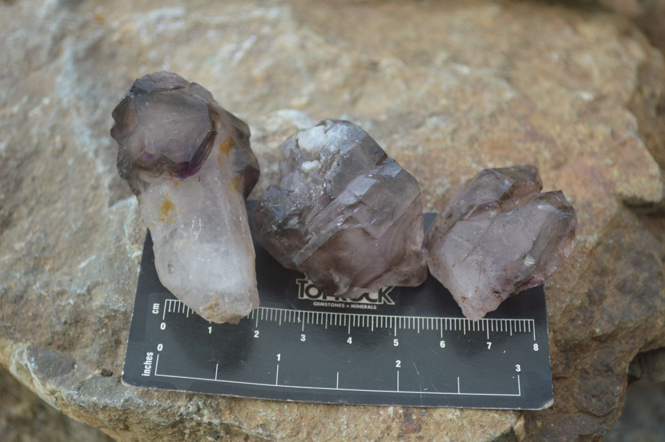 Natural Amethyst Crystals  x 12 From Chiredzi, Zimbabwe - Toprock Gemstones and Minerals 
