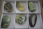 Polished Large Leopard Stone Palm Stones  x 6 From Zimbabwe - Toprock Gemstones and Minerals 