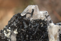 Natural Schorl Black Tourmaline Specimens x 6 From Erongo, Namibia - Toprock Gemstones and Minerals 