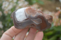 Polished River Agate Nodules  x 6 From Sashe River, Zimbabwe - Toprock Gemstones and Minerals 