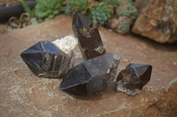 Natural Smokey Quartz Crystals x 4 From Malawi - Toprock Gemstones and Minerals 