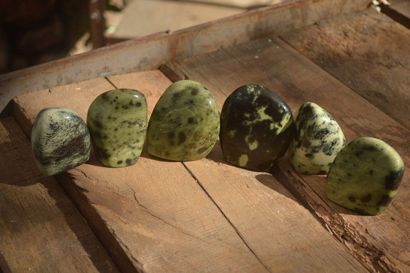 Polished Leopard Stone Standing Free Forms x 6 From Zimbabwe - Toprock Gemstones and Minerals 