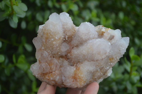 Natural Spirit Amethyst Quartz Clusters  x 2 From Boekenhouthoek, South Africa - Toprock Gemstones and Minerals 