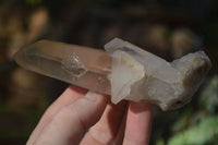 Natural Hematoid Quartz Clusters x 6 From Madagascar - Toprock Gemstones and Minerals 