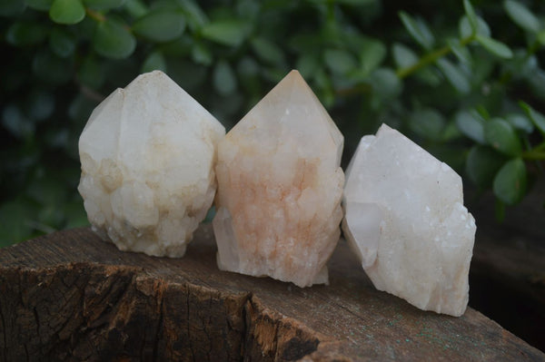 Natural Single Pineapple Candle Quartz Crystals  x 12 From Antsirabe, Madagascar