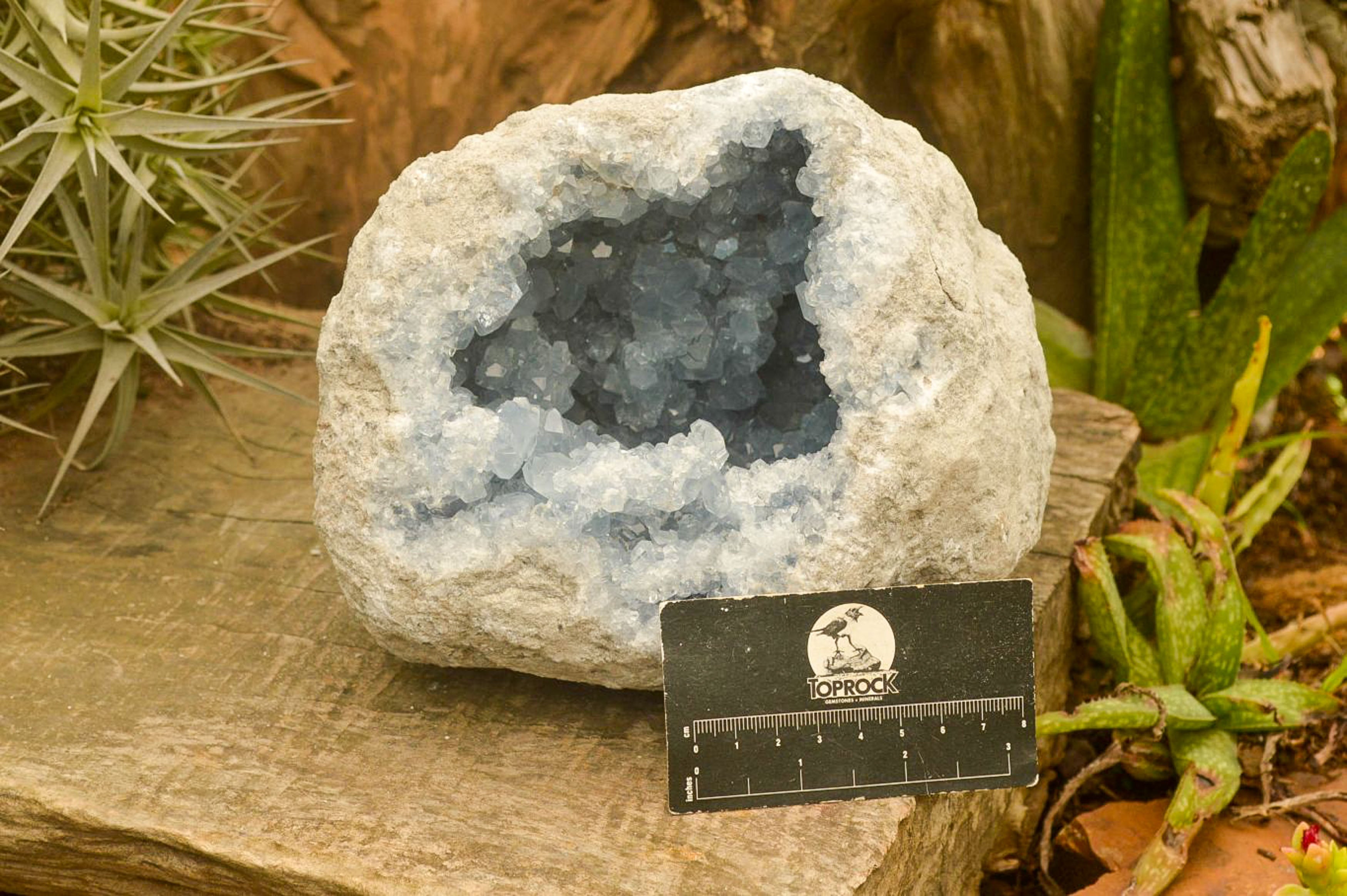 Natural Blue Celestite Geode Specimen  x 1 From Sakoany, Madagascar - TopRock