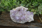 Natural Jacaranda Amethyst Cluster  x 1 From Zambia - Toprock Gemstones and Minerals 