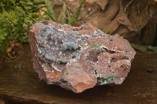 Natural Massive Drusy Coated Ball Malachite On Red Copper Dolomite Specimen x 1 From Likasi, Congo - Toprock Gemstones and Minerals 