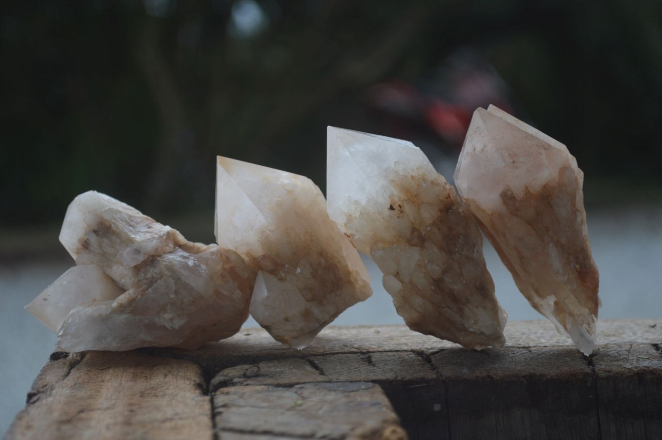 Natural Single Pineapple Candle Quartz Crystals  x 12 From Antsirabe, Madagascar - Toprock Gemstones and Minerals 