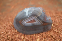 Polished River Agate Nodules  x 6 From Sashe River, Zimbabwe - Toprock Gemstones and Minerals 
