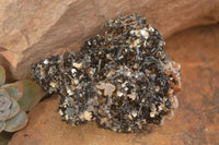 Natural Schorl Black Tourmaline Specimens x 6 From Erongo, Namibia - Toprock Gemstones and Minerals 
