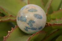 Polished Blue Spotted Spinel Quartz Spheres x 8 From Madagascar - Toprock Gemstones and Minerals 
