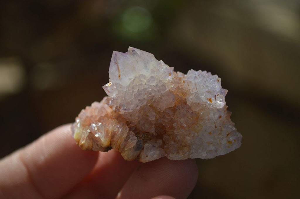 Natural Spirit Ametrine Quartz Crystals x 20 From Boekenhouthoek, South Africa - Toprock Gemstones and Minerals 