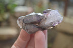 Natural Amethyst Crystals  x 12 From Chiredzi, Zimbabwe - Toprock Gemstones and Minerals 
