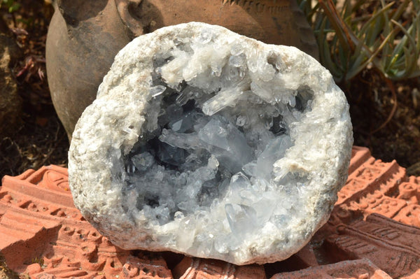 Natural Stunning Celestite Geode With Long Prismatic Crystals  x 1 From Sakoany, Madagascar - TopRock