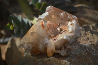 Natural Hematoid Quartz Clusters x 6 From Madagascar - Toprock Gemstones and Minerals 