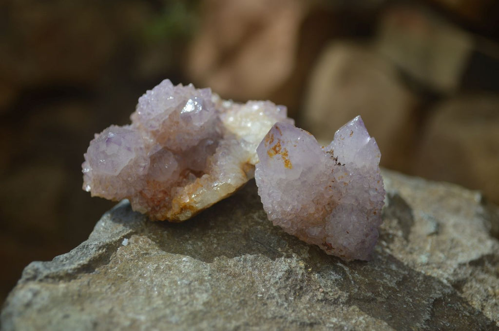 Natural Spirit Ametrine Quartz Crystals x 20 From Boekenhouthoek, South Africa - Toprock Gemstones and Minerals 