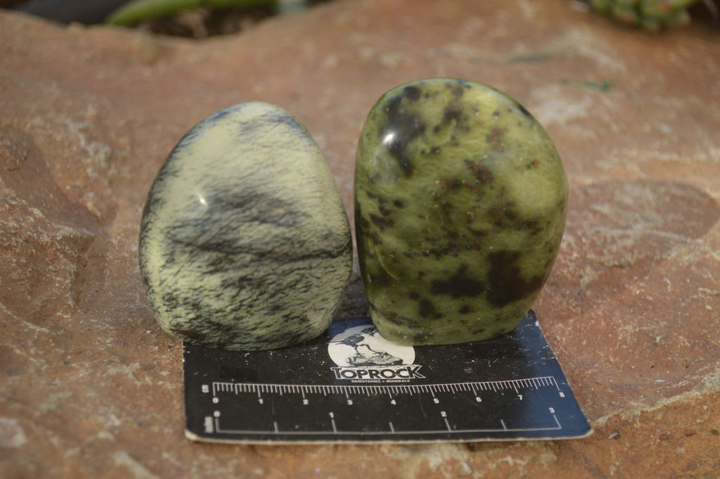 Polished Leopard Stone Standing Free Forms x 6 From Zimbabwe - Toprock Gemstones and Minerals 