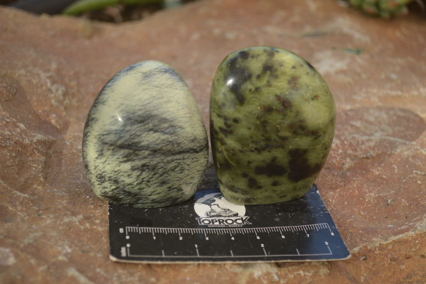 Polished Leopard Stone Standing Free Forms x 6 From Zimbabwe - Toprock Gemstones and Minerals 