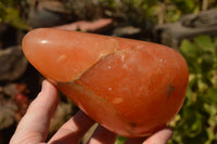 Polished Orange Twist Calcite Standing Free Forms  x 2 From Madagascar - TopRock