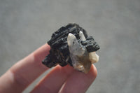 Natural Schorl Black Tourmaline Specimens  x 27 From Erongo, Namibia - Toprock Gemstones and Minerals 