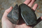 Polished Fluorescent Ruby Corundum In Chrome Verdite Free Forms x 4 From Zimbabwe - Toprock Gemstones and Minerals 