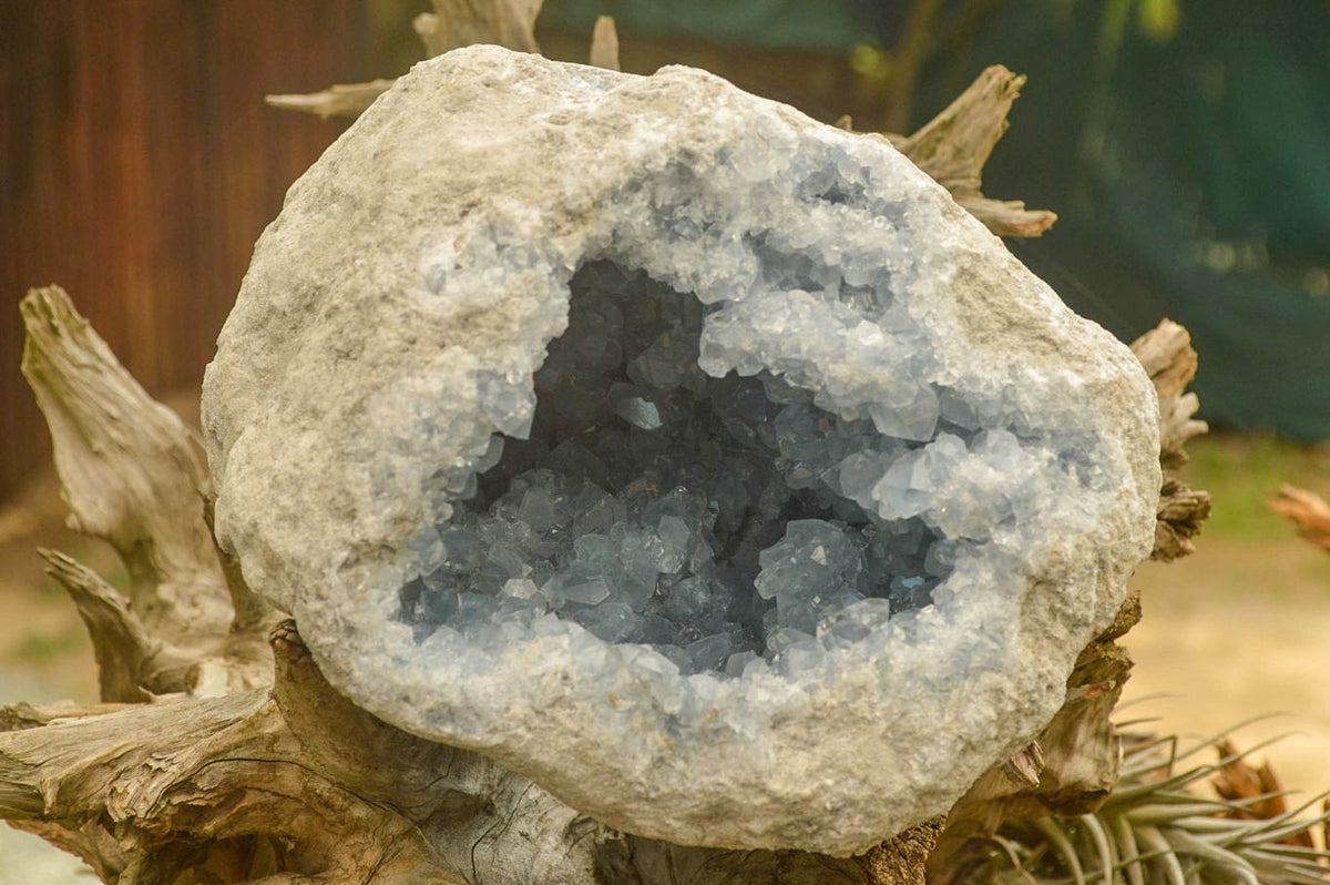 Natural Blue Celestite Geode Specimen  x 1 From Sakoany, Madagascar - TopRock