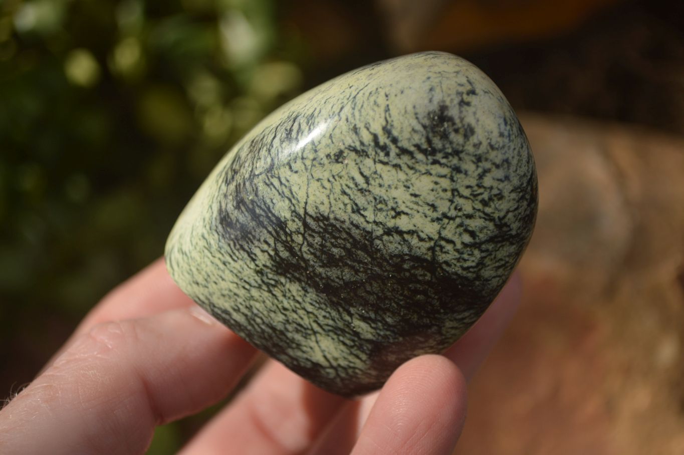 Polished Leopard Stone Standing Free Forms x 6 From Zimbabwe - Toprock Gemstones and Minerals 