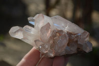 Natural Hematoid Quartz Clusters x 6 From Madagascar - Toprock Gemstones and Minerals 