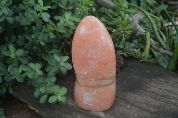 Polished Orange Twist Calcite Standing Free Form x 1 From Madagascar - Toprock Gemstones and Minerals 