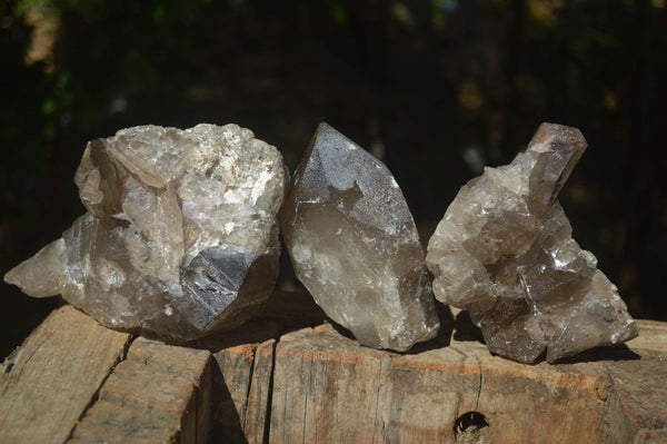 Natural Smokey Quartz Floater Crystal Formations  x 3 From Mulanje, Malawi