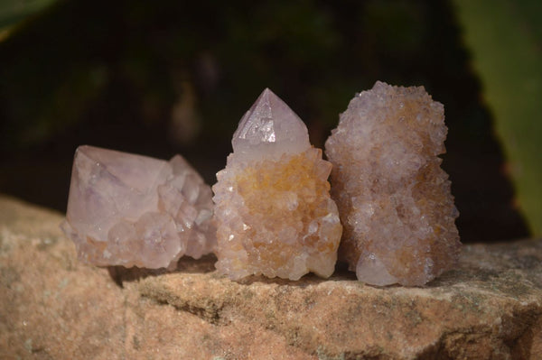 Natural Small Mixed Spirit Quartz Crystals & Clusters  x 70 From Boekenhouthoek, South Africa
