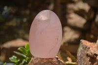 Polished Pink Rose Quartz Standing Free Forms x 2 From Ambatondrazaka, Madagascar - TopRock