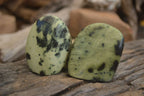 Polished Leopard Stone Standing Free Forms x 6 From Zimbabwe - Toprock Gemstones and Minerals 