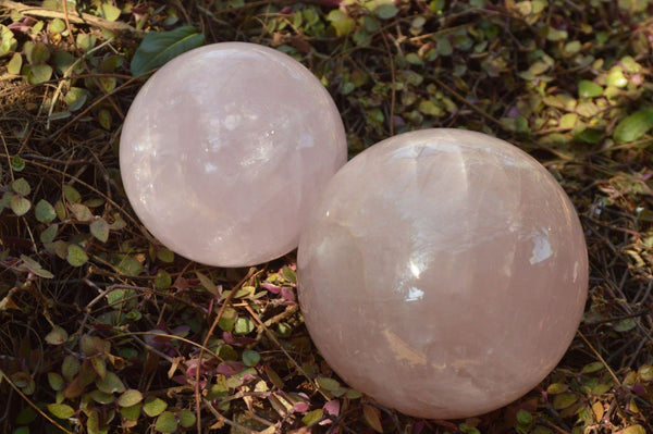 Polished Stunning Pink Star Rose Quartz Spheres x 2 From Ambatondrazaka, Madagascar - TopRock