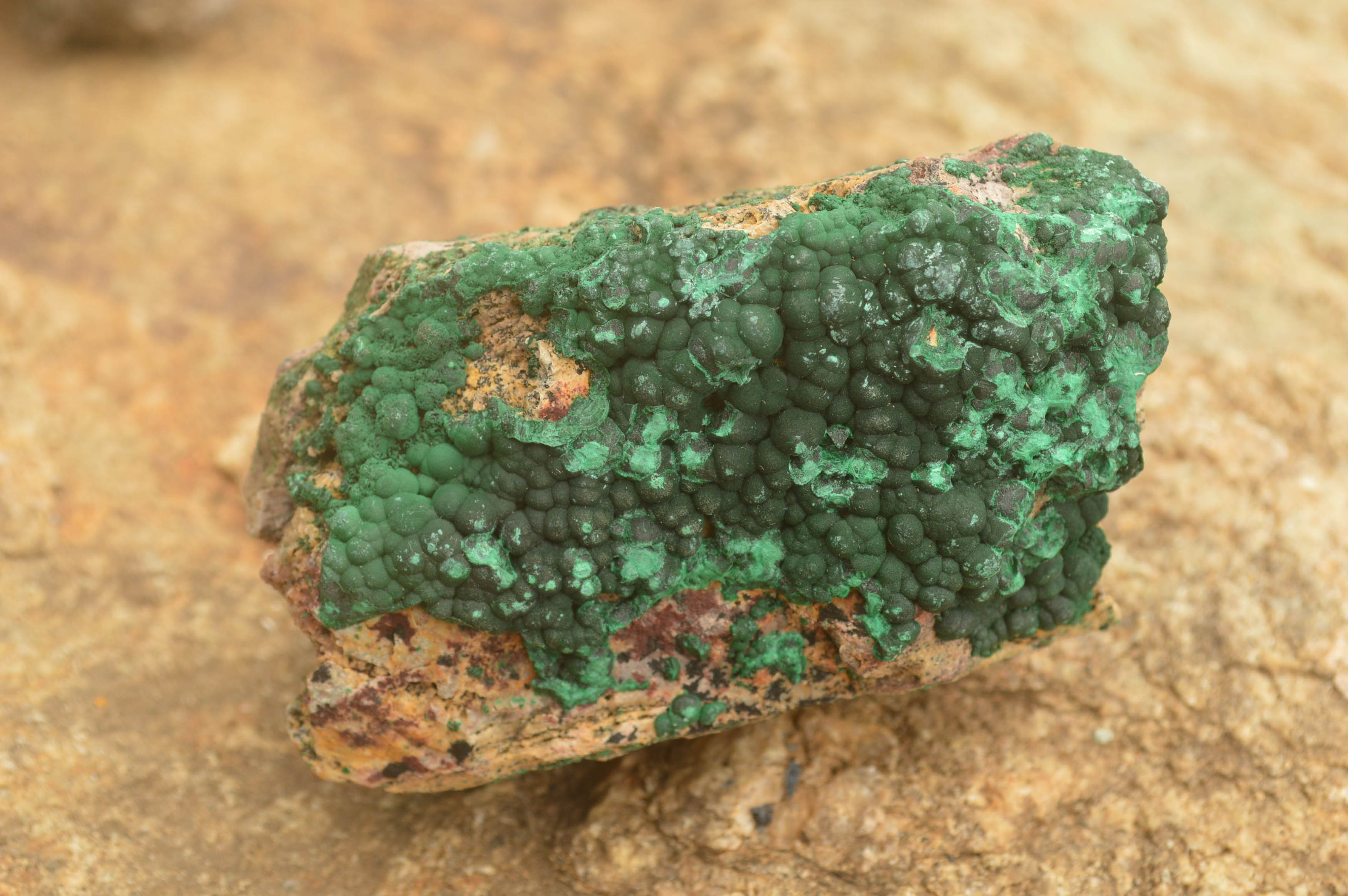 Natural Crystalline Botryoidal Malachite Specimens  x 4 From Tenke Fungurume, Congo - TopRock