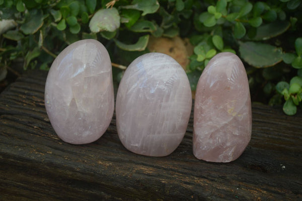 Polished Rose Quartz Standing Free Forms x 3 From Ambatondrazaka, Madagascar - Toprock Gemstones and Minerals 